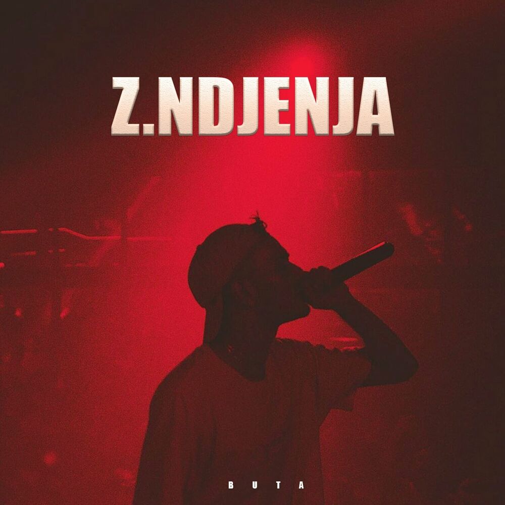 Picture of Z. Ndjenja
