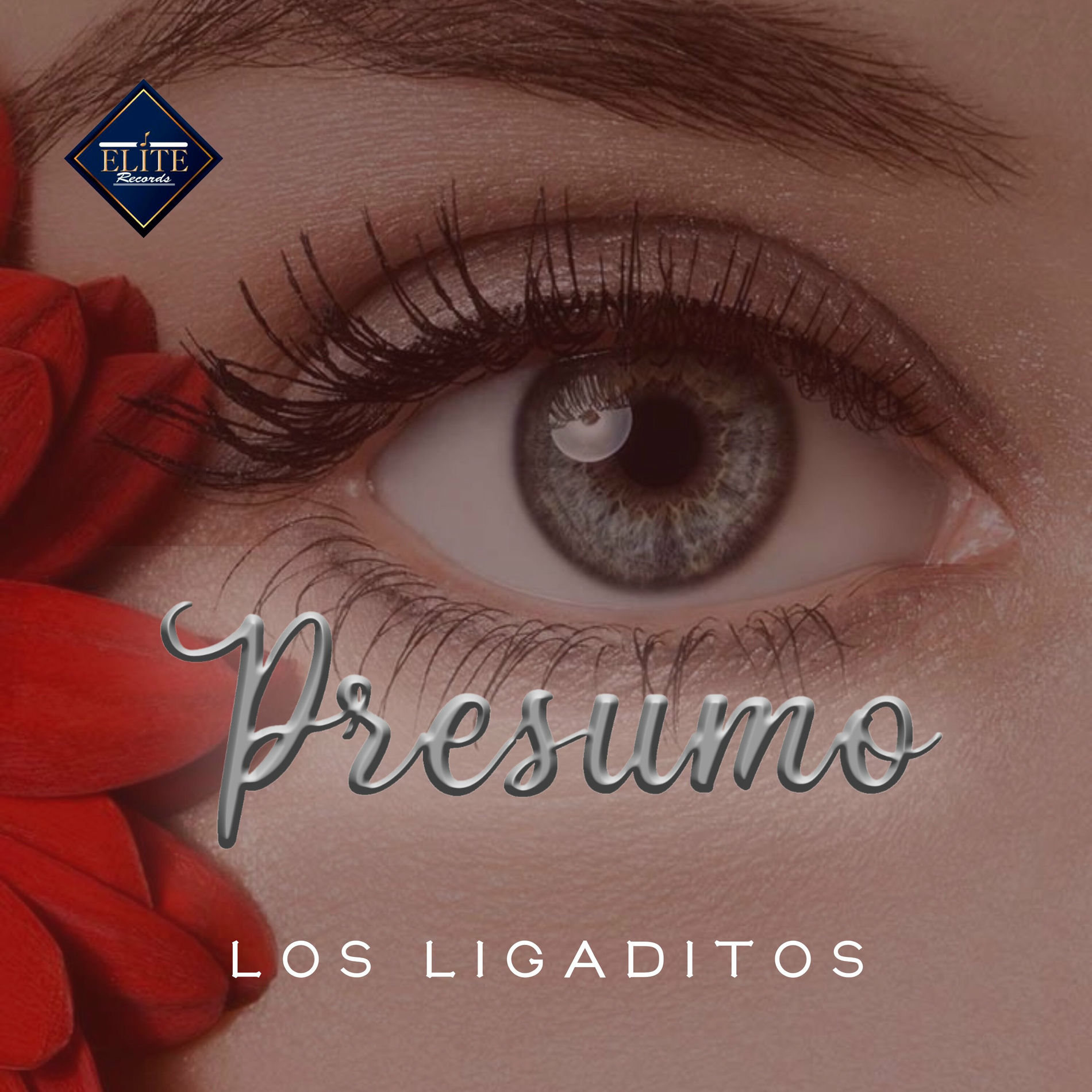 Album cover of Presumo