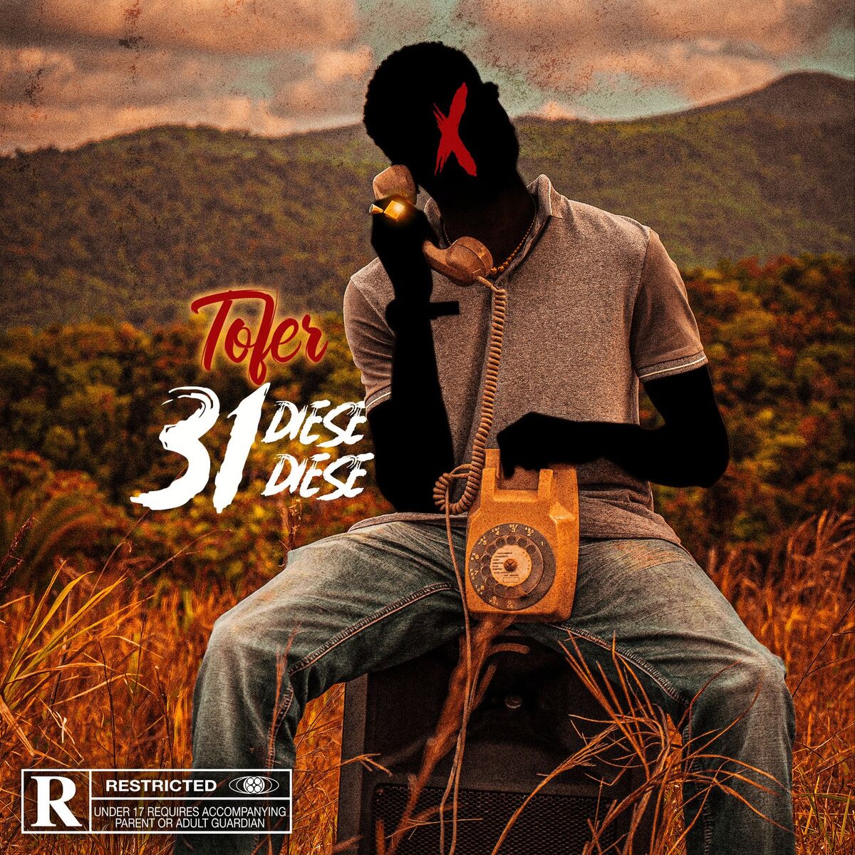 Album cover of Dièse 31 Dièse