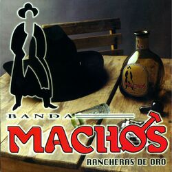 Cover of Rancheras de oro