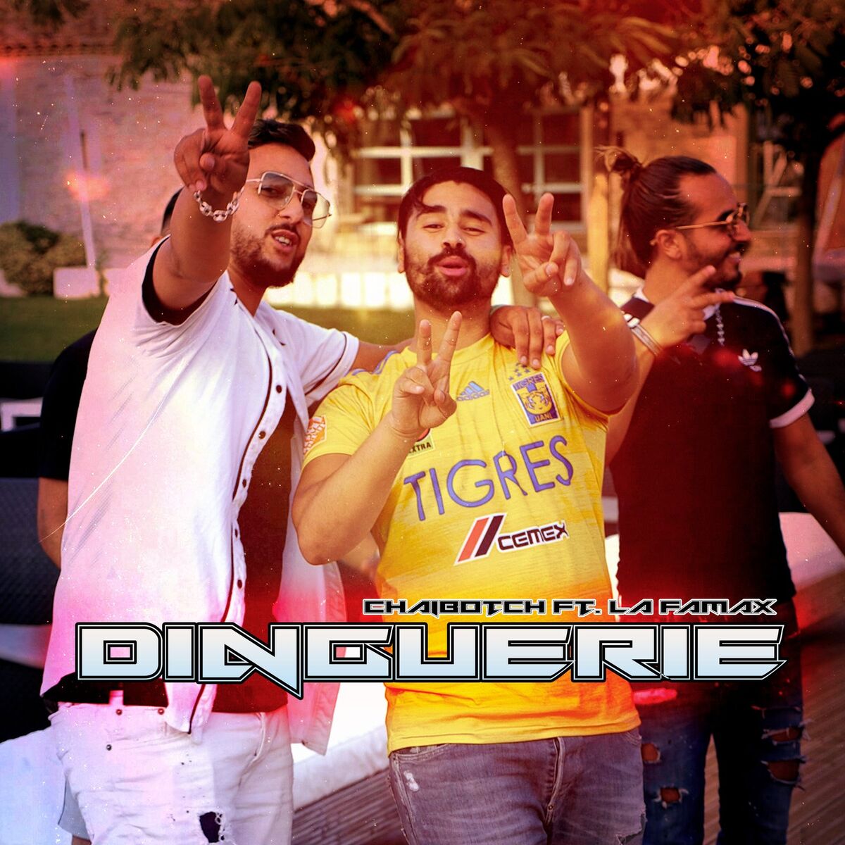 Album cover of Dinguerie