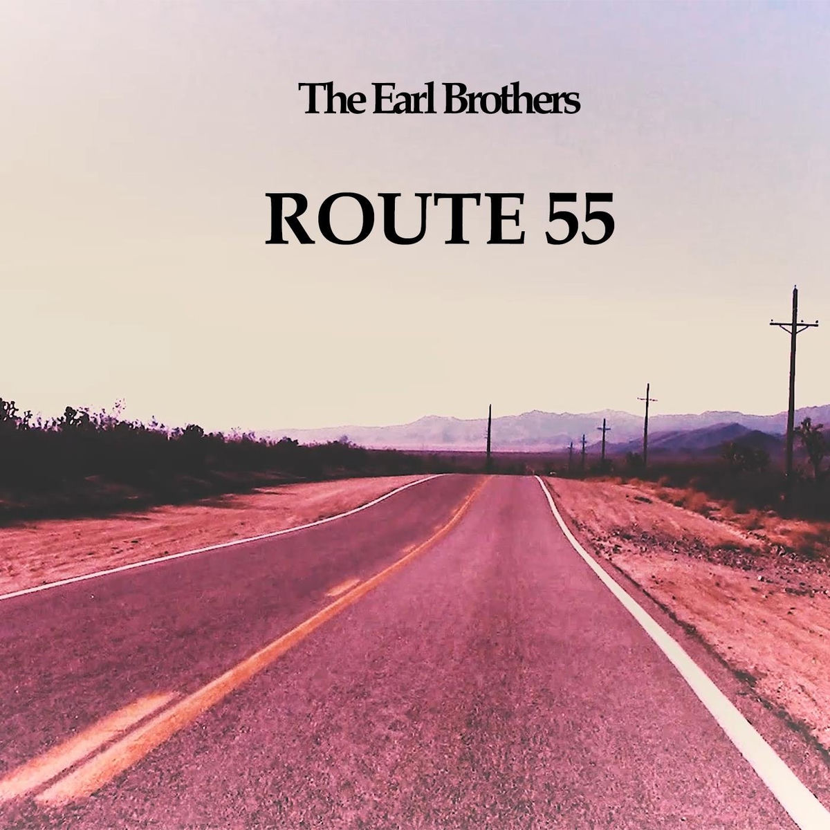 Album cover of Route 55