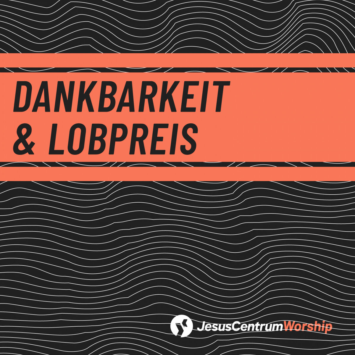Album cover of Dankbarkeit & Lobpreis (Akustik Session)