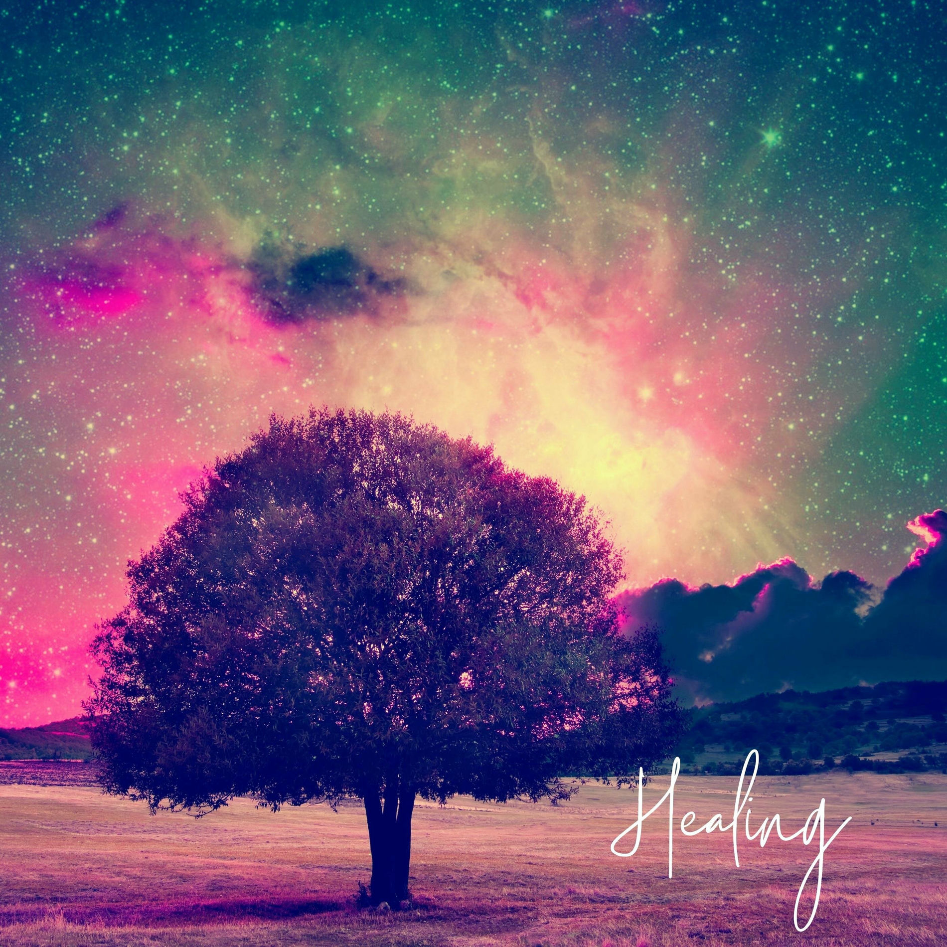 Album cover of Healing