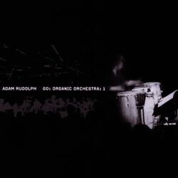 Cover of Go: Organic Orchestra: Vol. 1