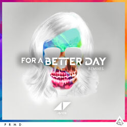 Cover of For A Better Day (Remixes)