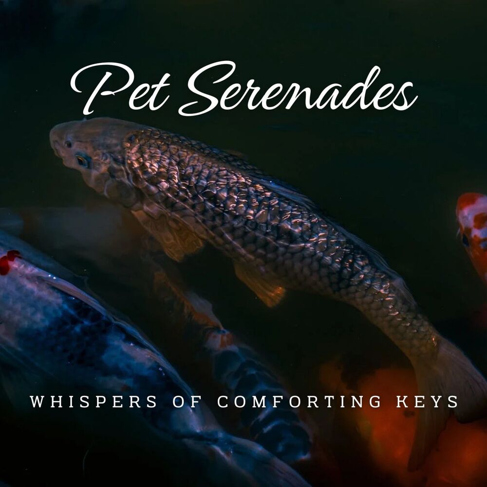 Picture of Piano Paws and Harmony: Pet Serenades