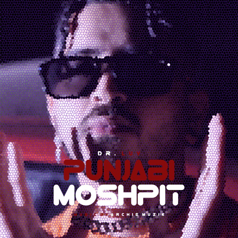Picture of Punjabi moshpit