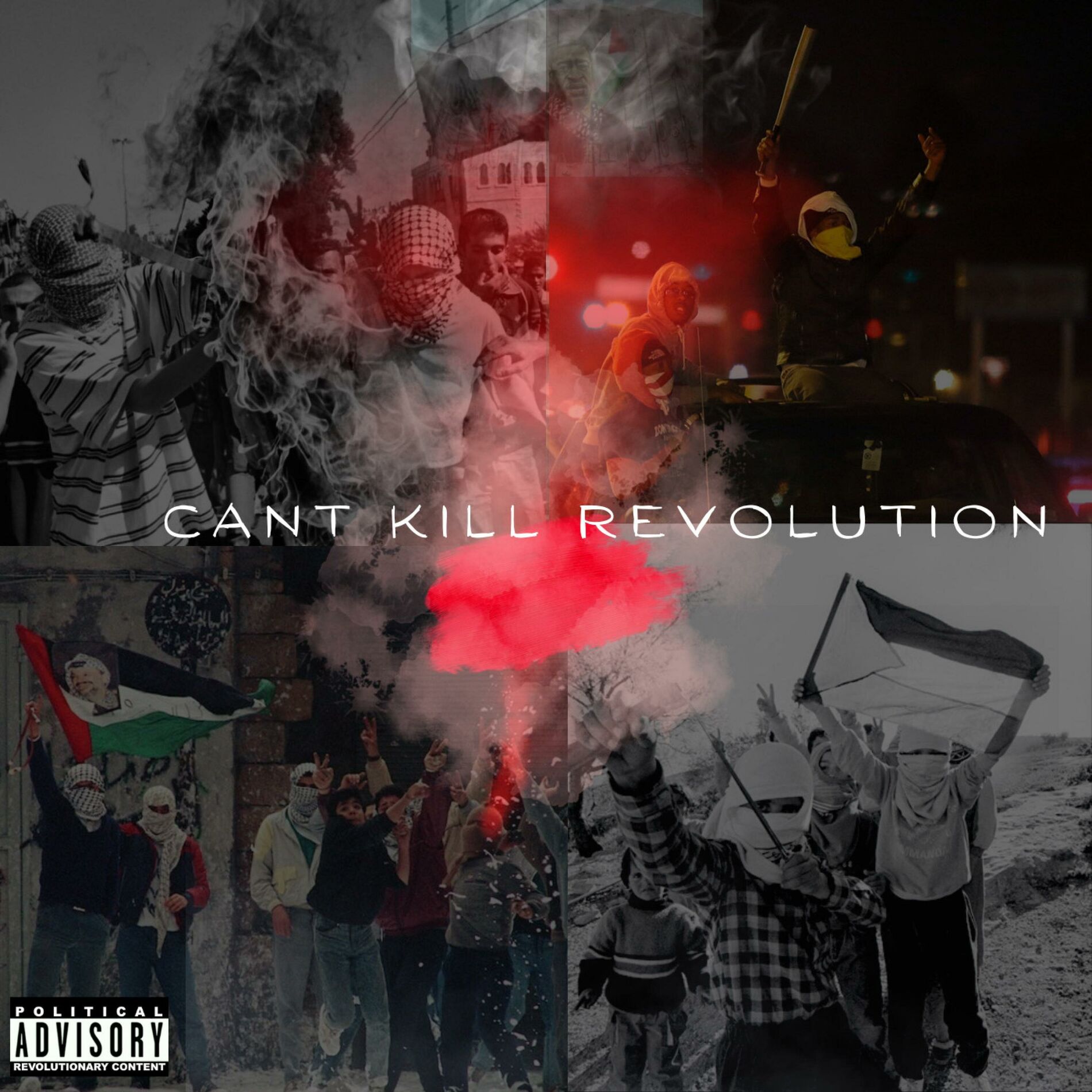 Album cover of Can't Kill Revolution (feat Ajxni RAG & Da Wildcard)