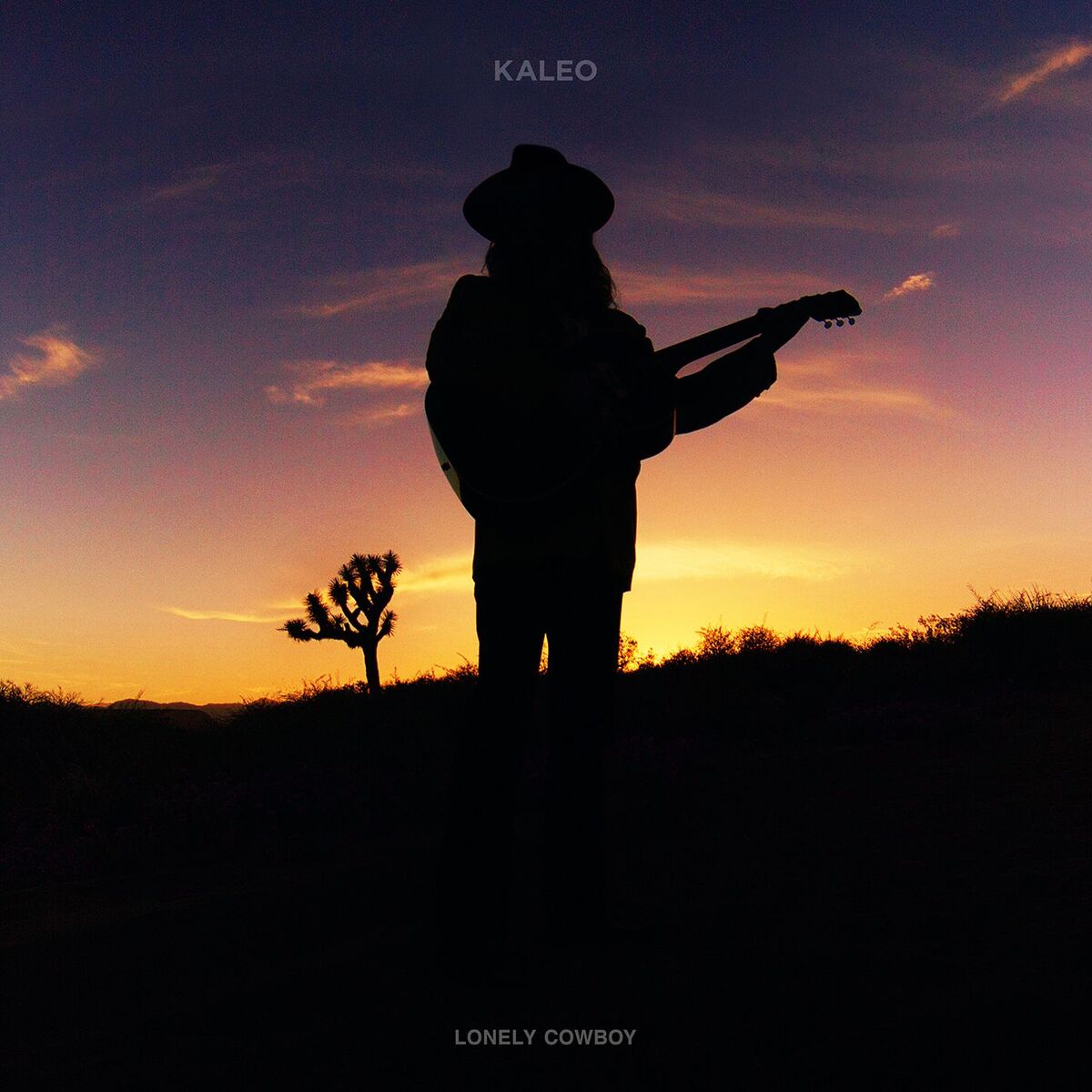 Album cover of Lonely Cowboy