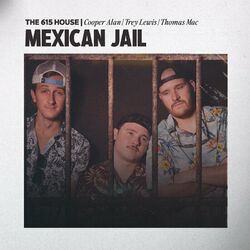 Cover of Mexican Jail