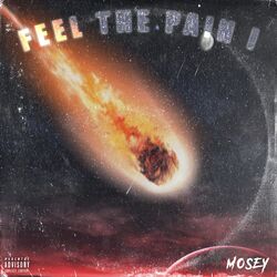 Cover of Feel The Pain I