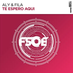 Cover of Te Espero Aqui