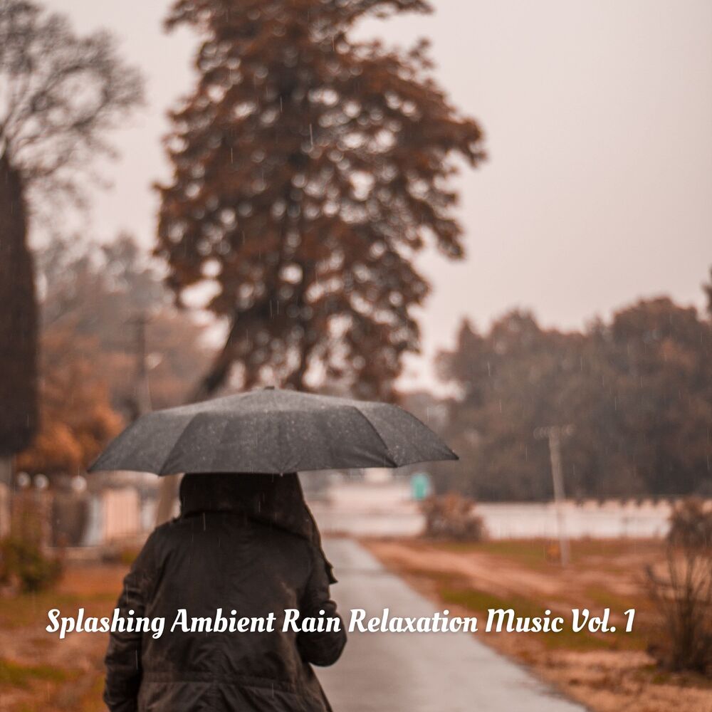 Picture of Splashing Ambient Rain Relaxation Music Vol. 1