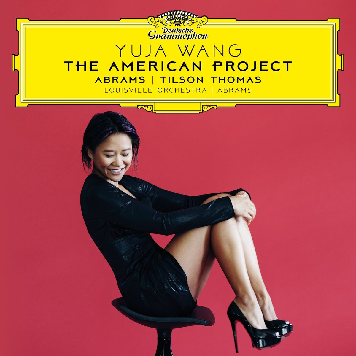 Album cover of The American Project