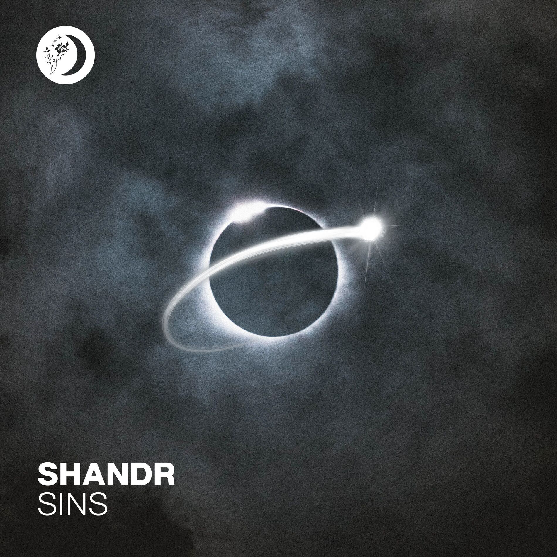 Album cover of Sins