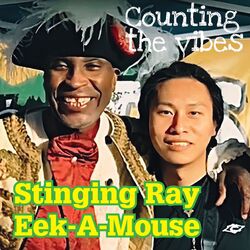 Cover of Counting The Vibes