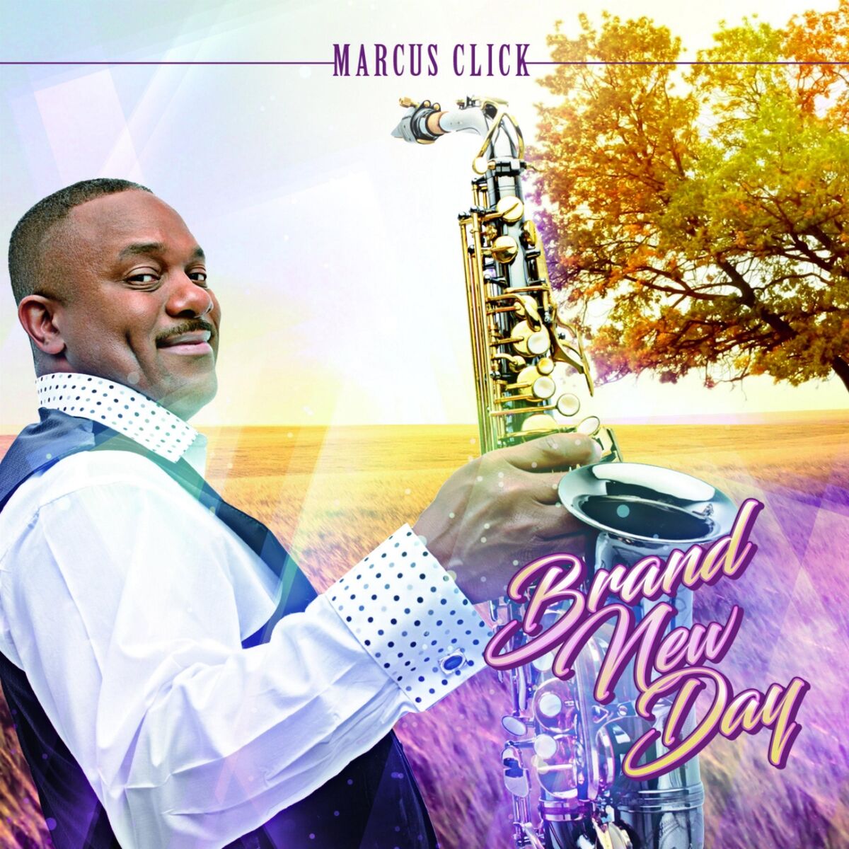 Album cover of Brand New Day