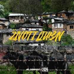 Cover of Zivot i ljubav