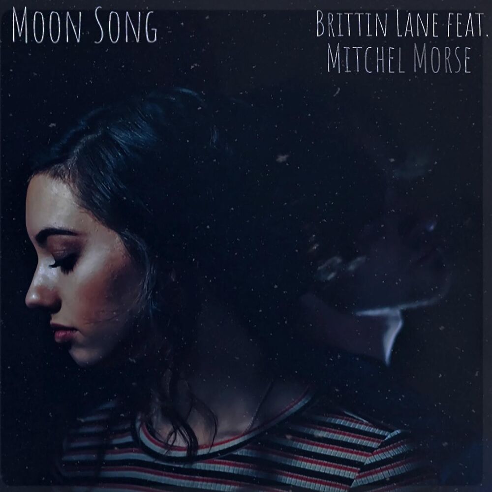 Picture of The Moon Song