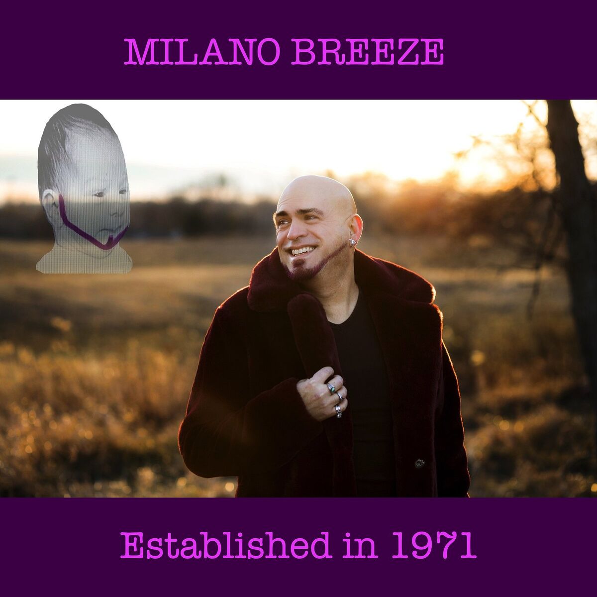 Album cover of Established in 1971