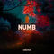Numb (Extended)