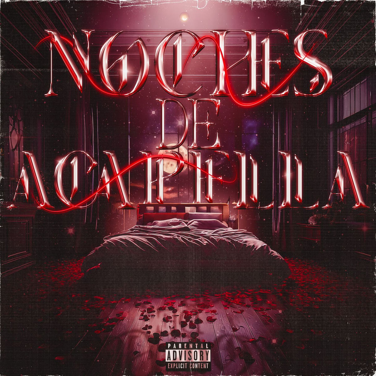 Album cover of Noches de Acapella