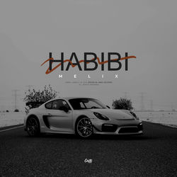 Cover of HABIBI by undefined