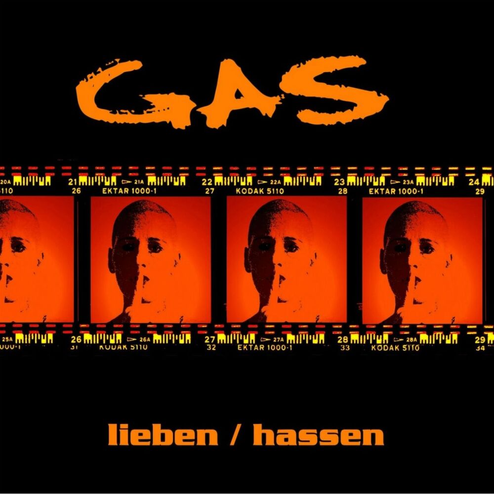 Picture of Lieben / Hassen (10th Anniversary)