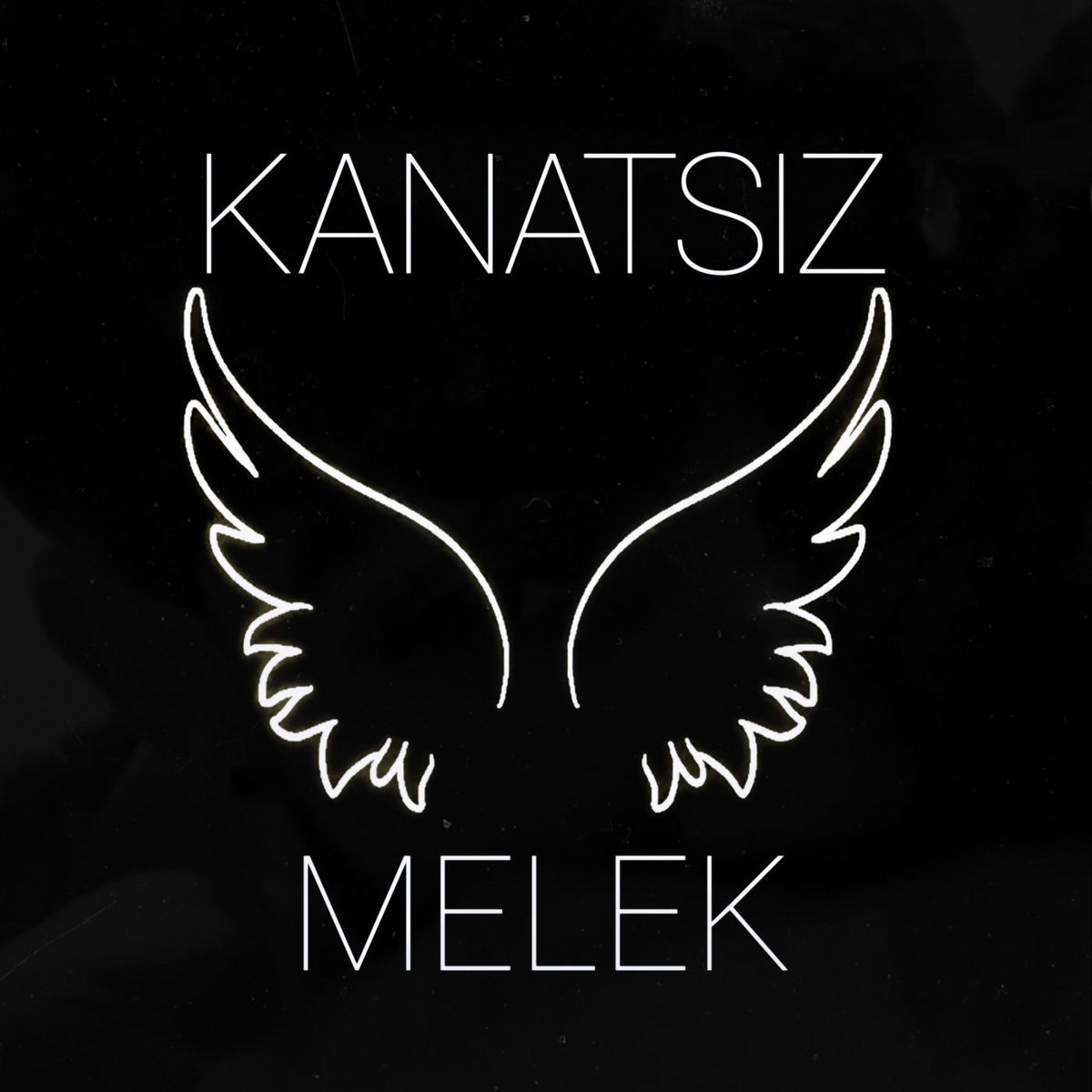 Album cover of Kanatsız Melek