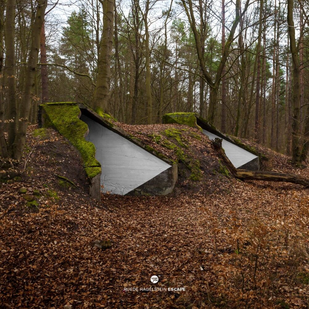 Picture of Escape