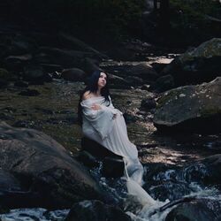 Cover of Under The Same Moon