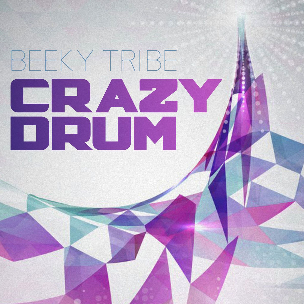 Album cover of Crazy Drum