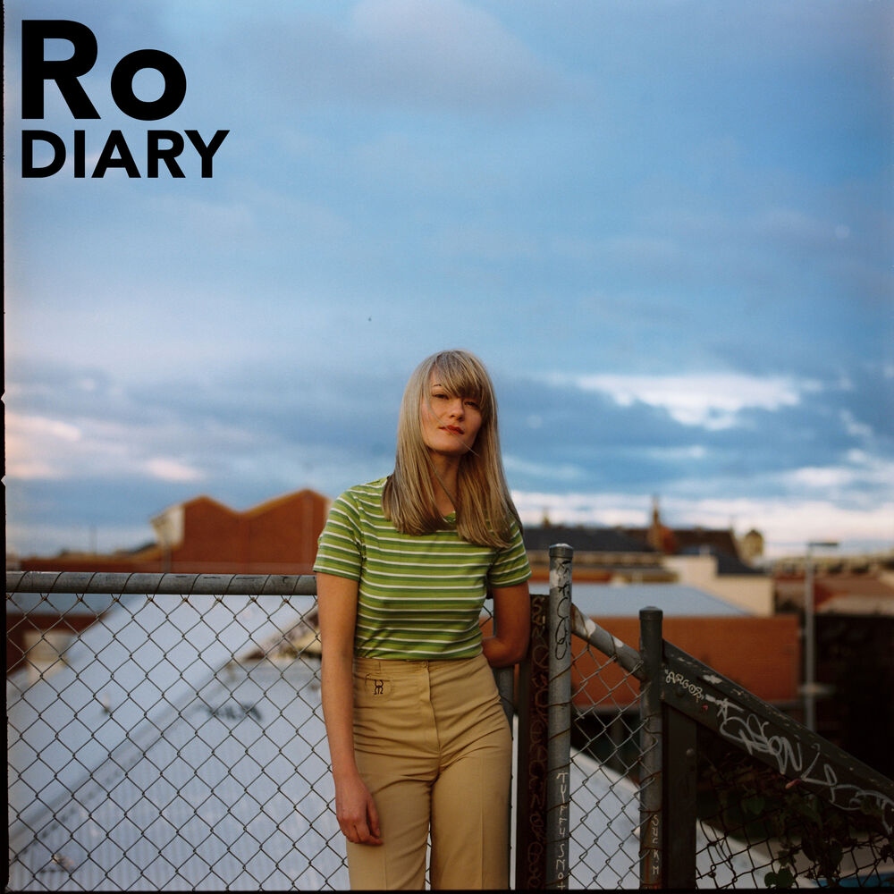 Picture of Diary