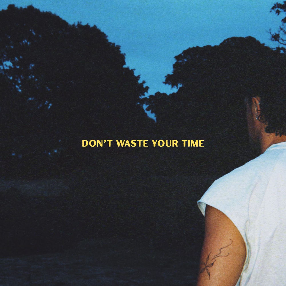 Don't Waste Your Time cover