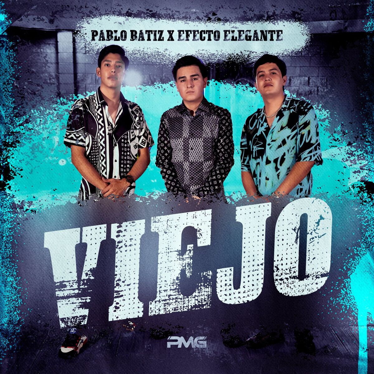 Album cover of Viejo