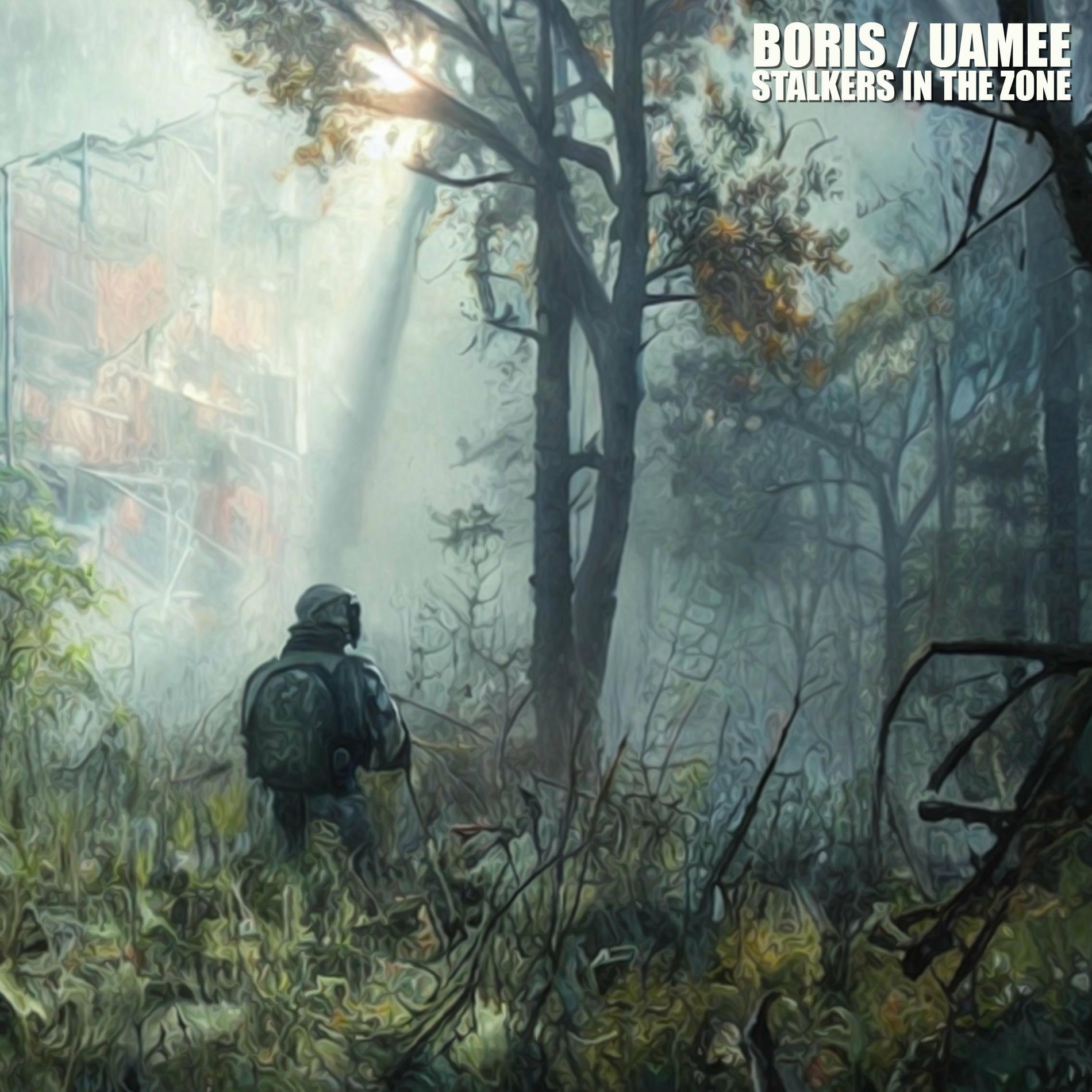 Album cover of Stalkers in the Zone