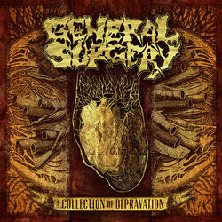 Cover of A Collection of Depravation