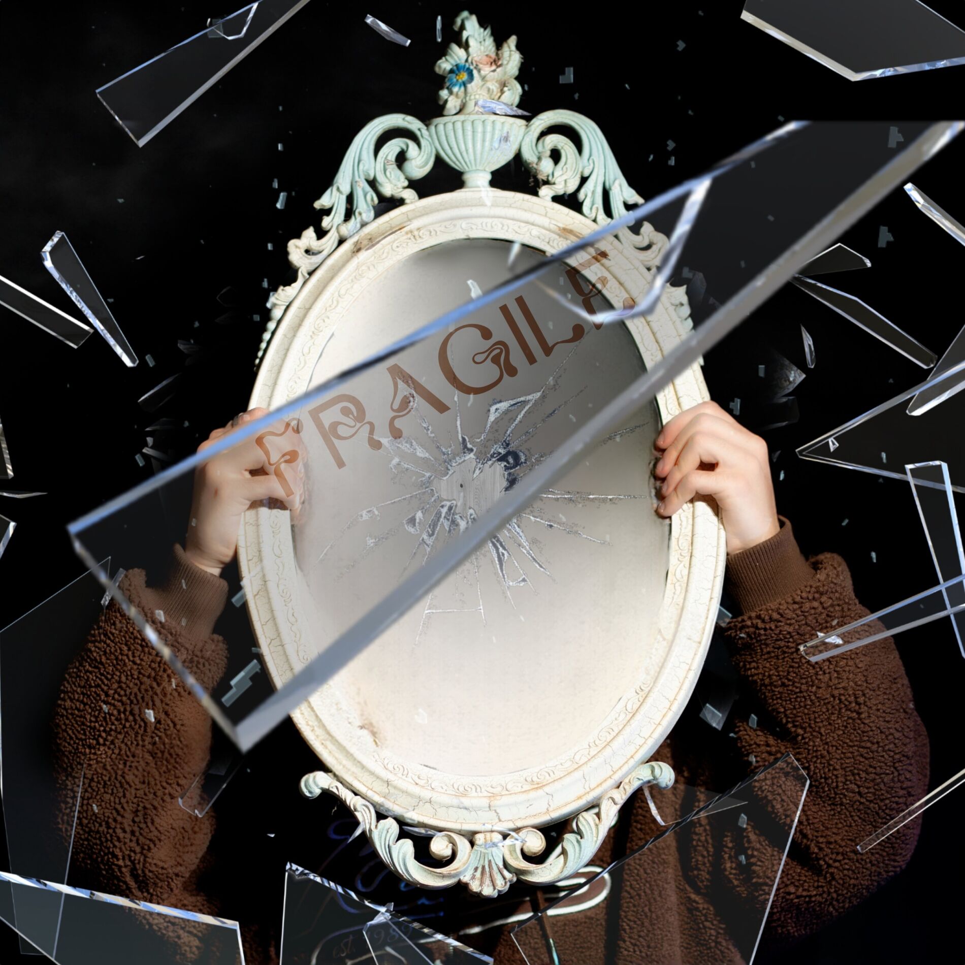 Album cover of Fragile