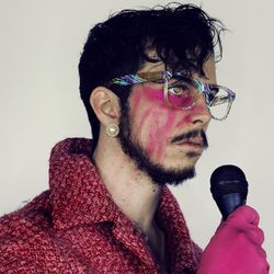 Cover of Stupid