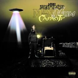 Cover of Maximum capacity