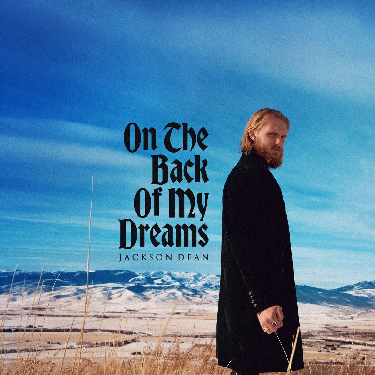 Album cover of Train