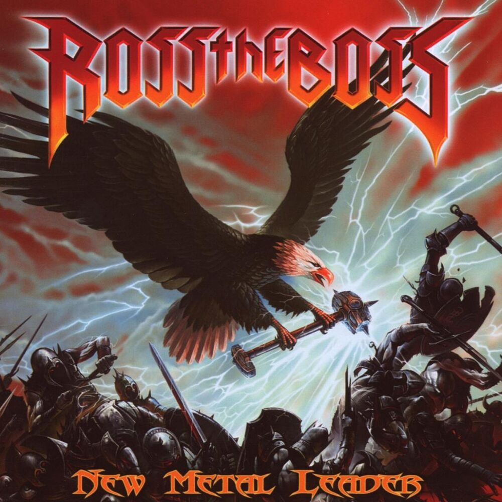 Picture of New Metal Leader
