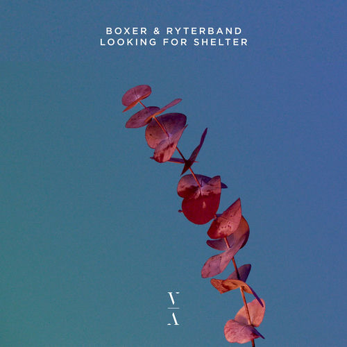 Descargar Looking For Shelter - Boxer MP3