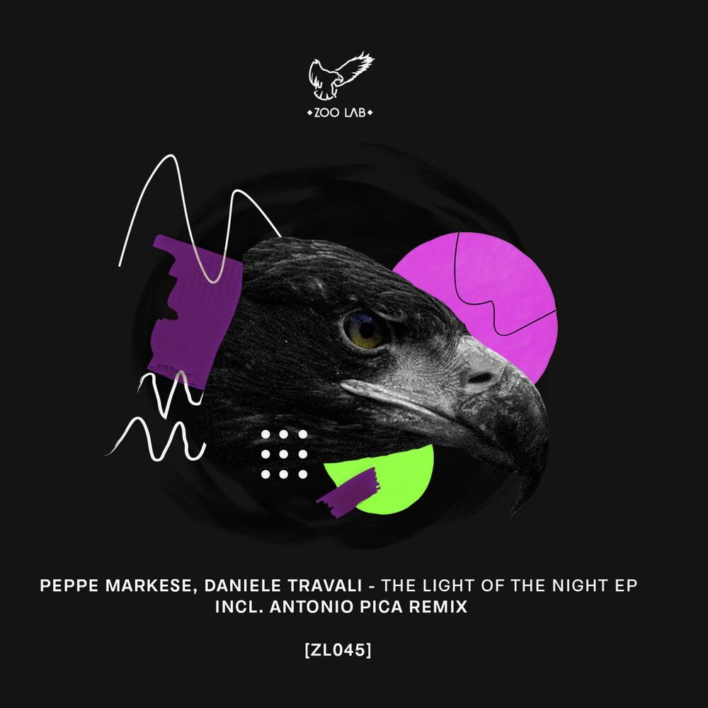 Picture of The Light Of The Night Ep