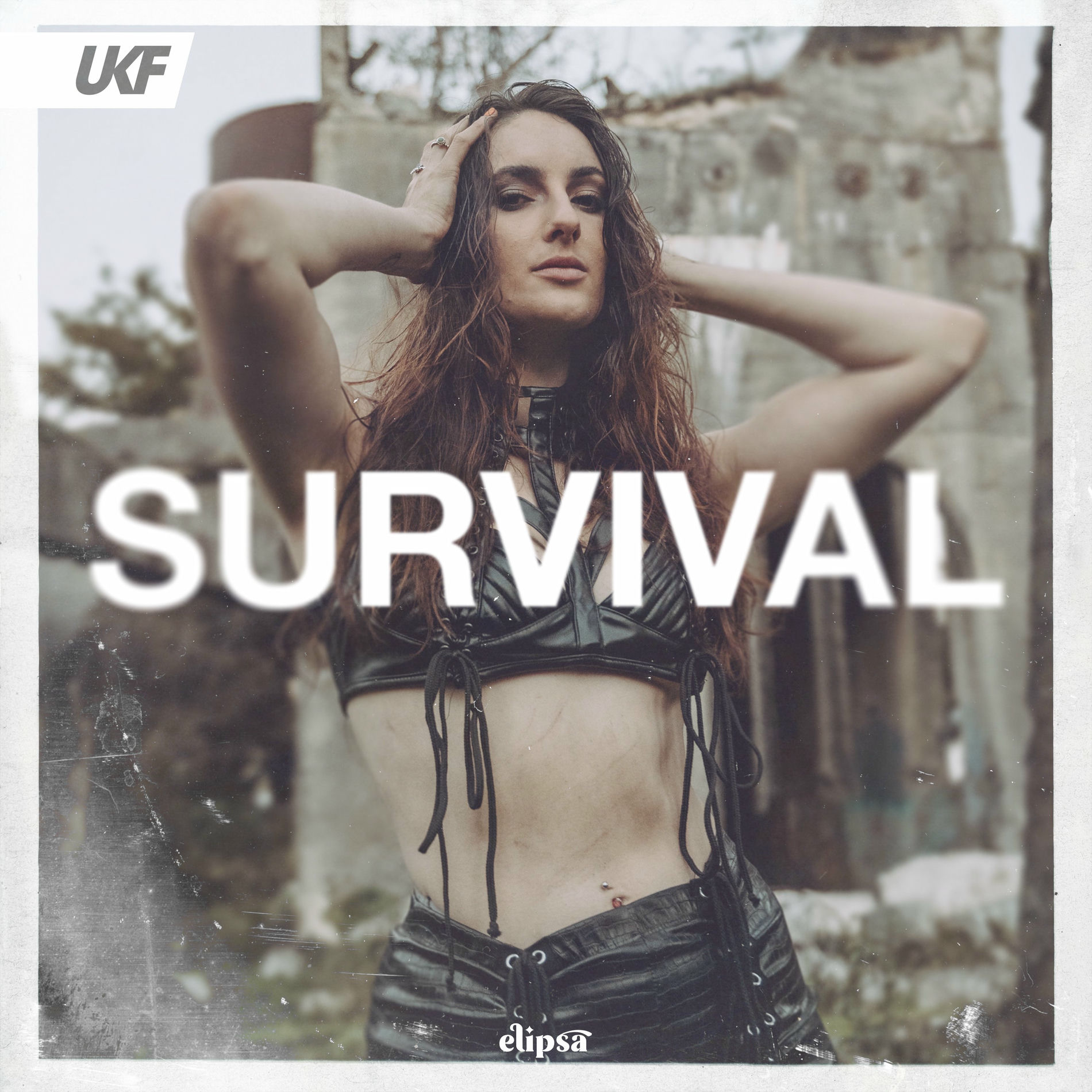 Album cover of Survival