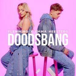 Cover of Doodsbang