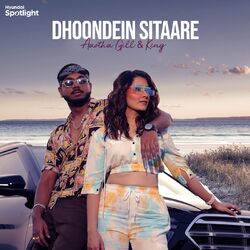 Cover of Dhoondein Sitaare