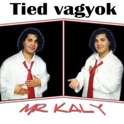 Cover of Tied Vagyok