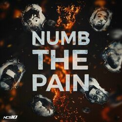Cover of Numb The Pain